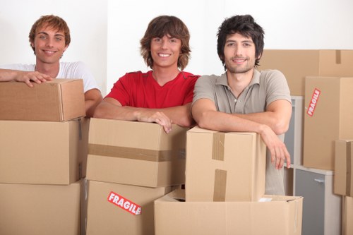 Careful packing and storage support for furniture and boxes
